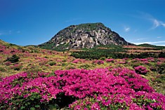 Hallasan National Park